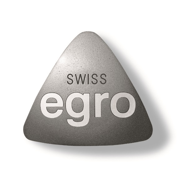Logo Egro Industrial Systems AG.jpg
